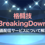 BreakingDown12(ブレイキングダウン)動画視聴について解説